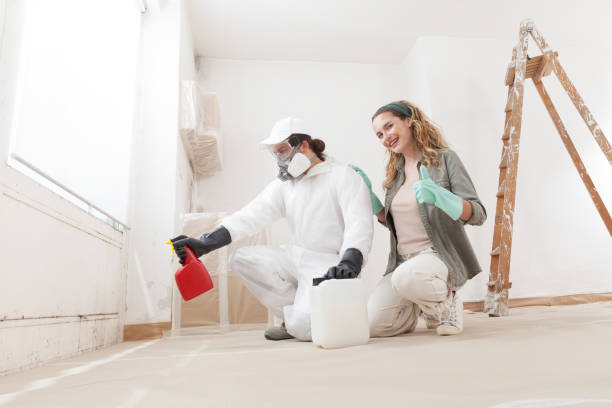 Best Residential Mold Inspection & Testing  in San Juan Bautista, CA